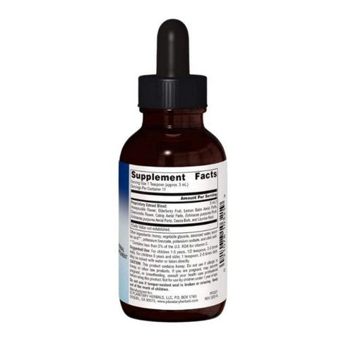 Planetary Herbals, Well Child Echinacea-Elderberry Syrup, 2 Fl Oz
