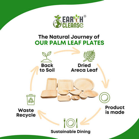 Earth Cleanse, Areca Palm Leaf Square Plates 10-Inch, Pack of 25 Earth Cleanse
