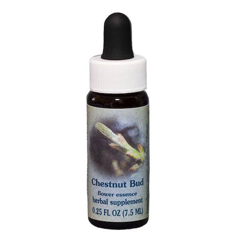 Flower Essence Services, Chestnut Bud Dropper, 0.25 oz Flower Essence Services